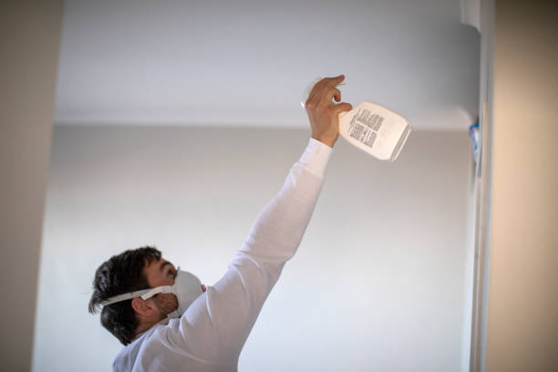 Best Mold Cleaning Services  in Olympia, WA