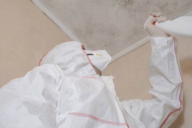 Best Crawl Space Mold Removal  in Olympia, WA