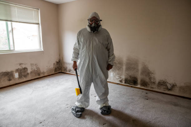 Best Toxic Mold Removal  in Olympia, WA